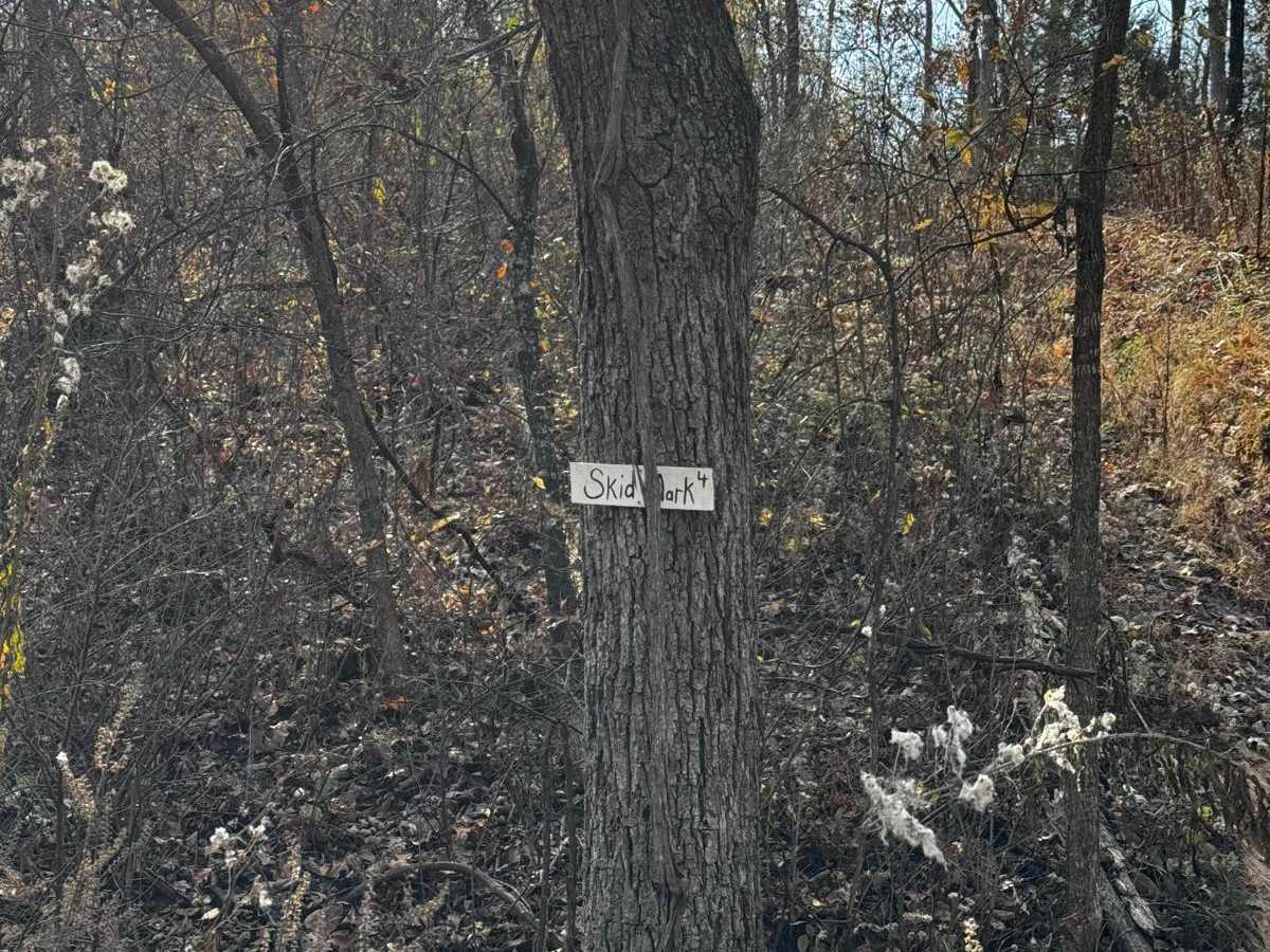 Skid Mark trail photo