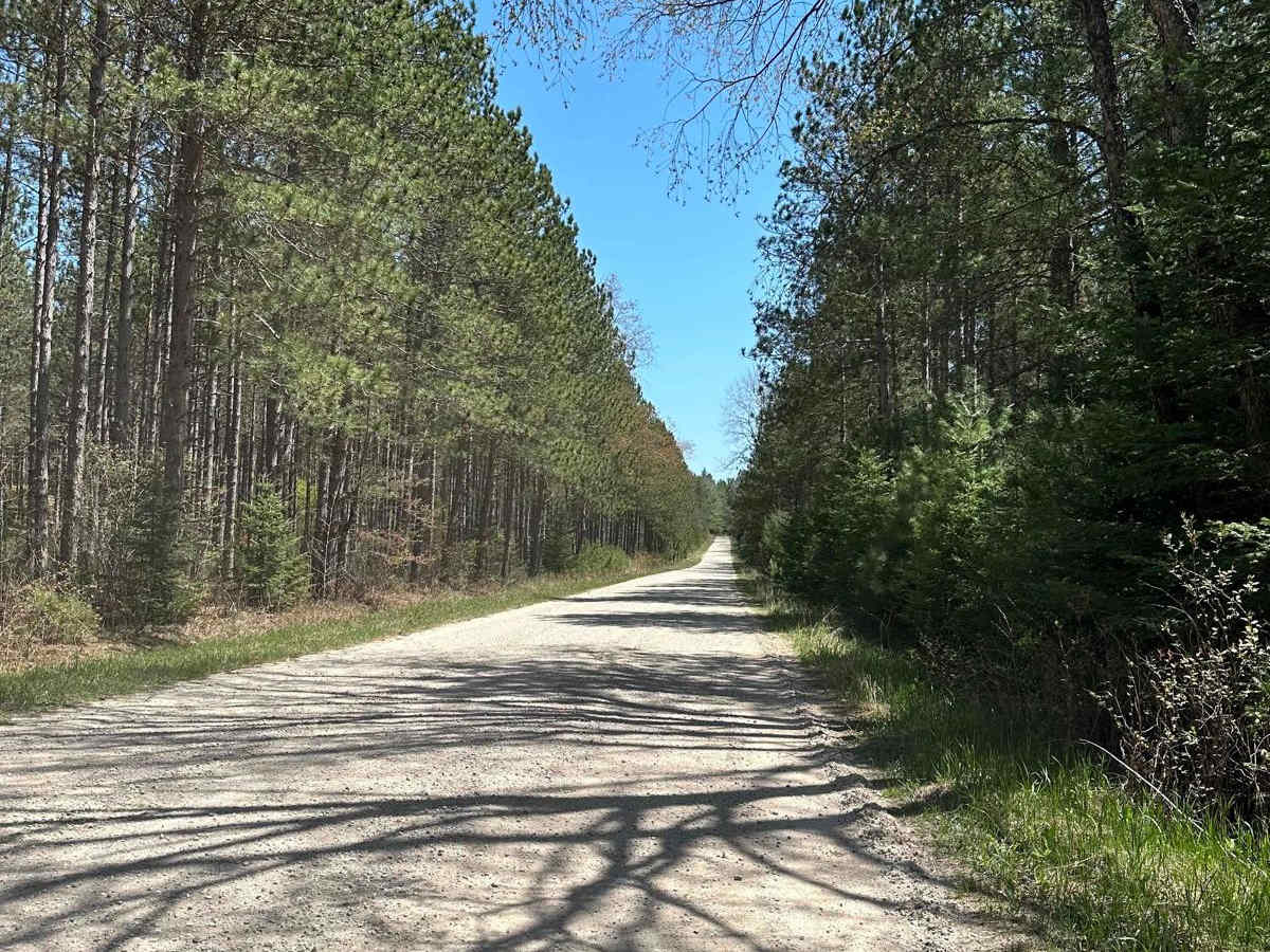 Cadillac Area ORV/OHV Scenic Ride - Part 18 photo 6