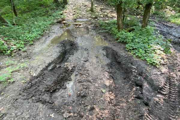 Muskrat Hill
