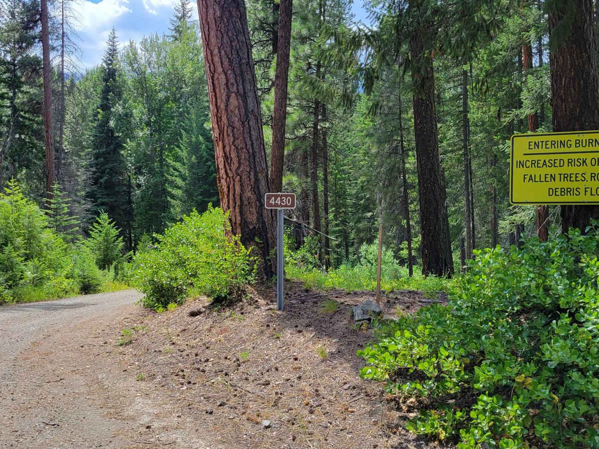 FR 4430 - War Creek/West Twisp River trail photo