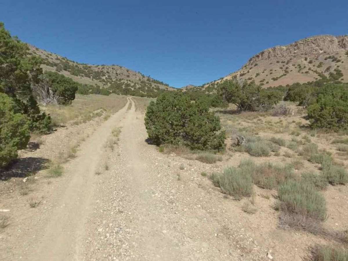 Conger Mountain OHV Route 8 photo 4