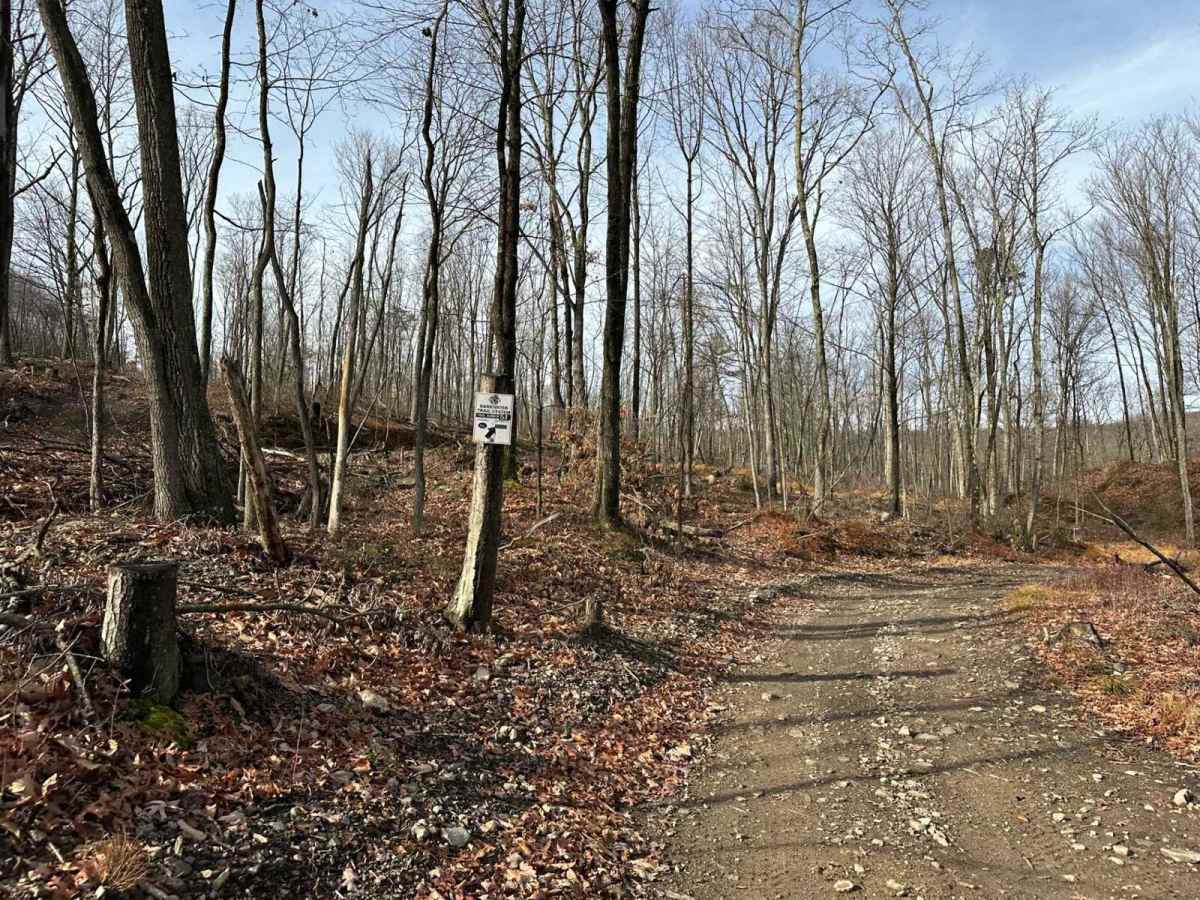 Darkwater 51 trail photo