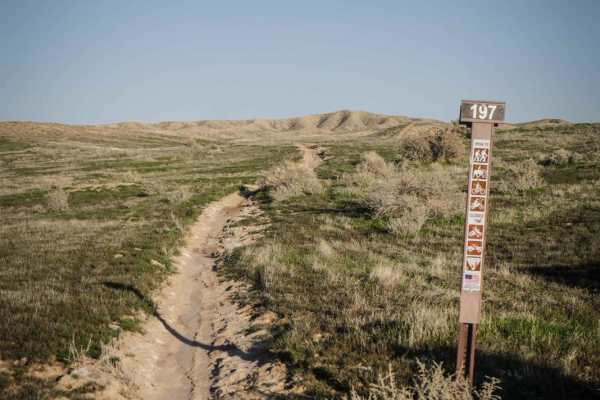 BLM Route 197