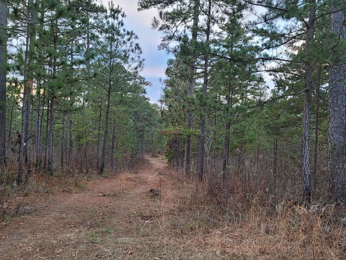 USFSR #536 - Rattlesnake Mountain photo 3