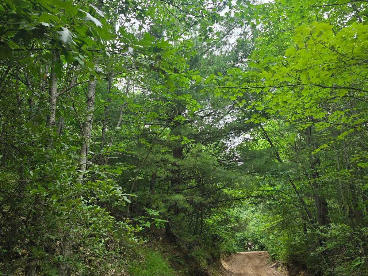 Hougton Creek Trail photo 2