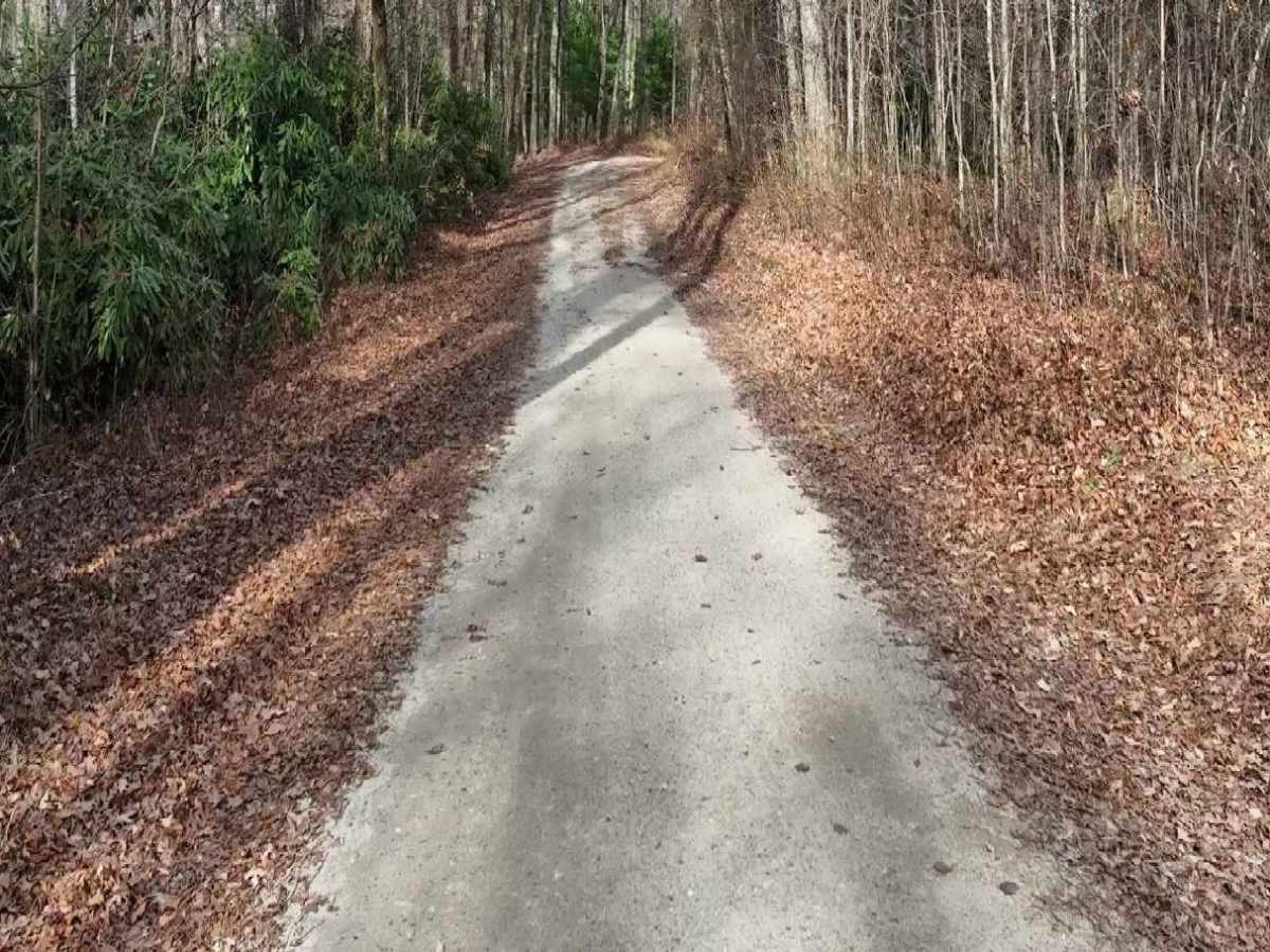 Old NC 105 photo 2