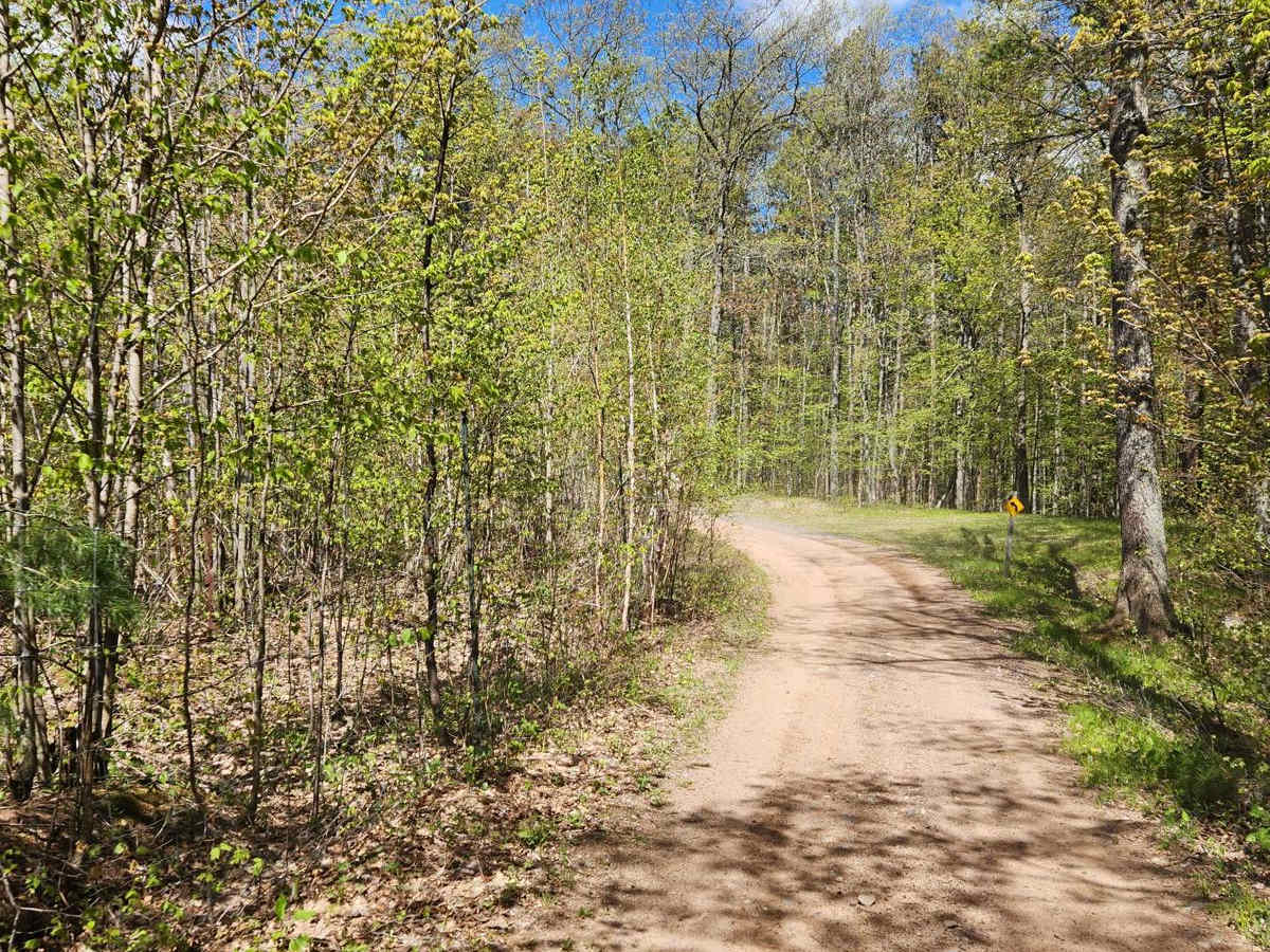 Bayfield Timber Trail photo 4