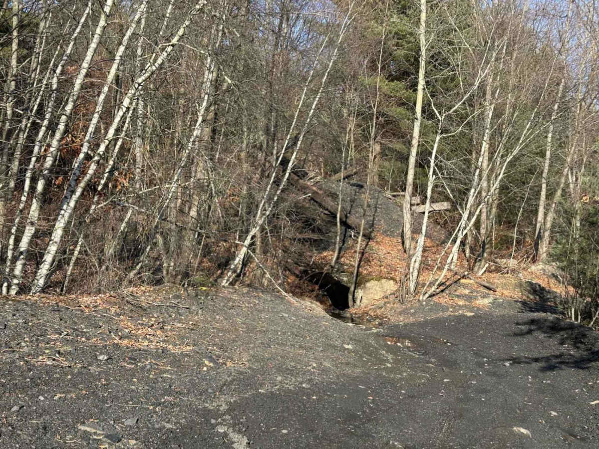 Locust Gap 51 photo 3
