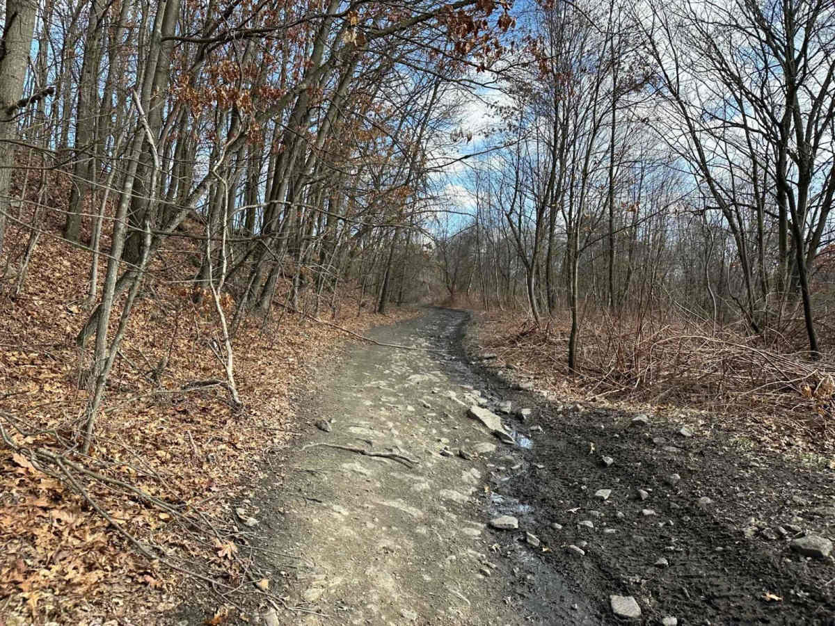 Ashland 34 trail photo