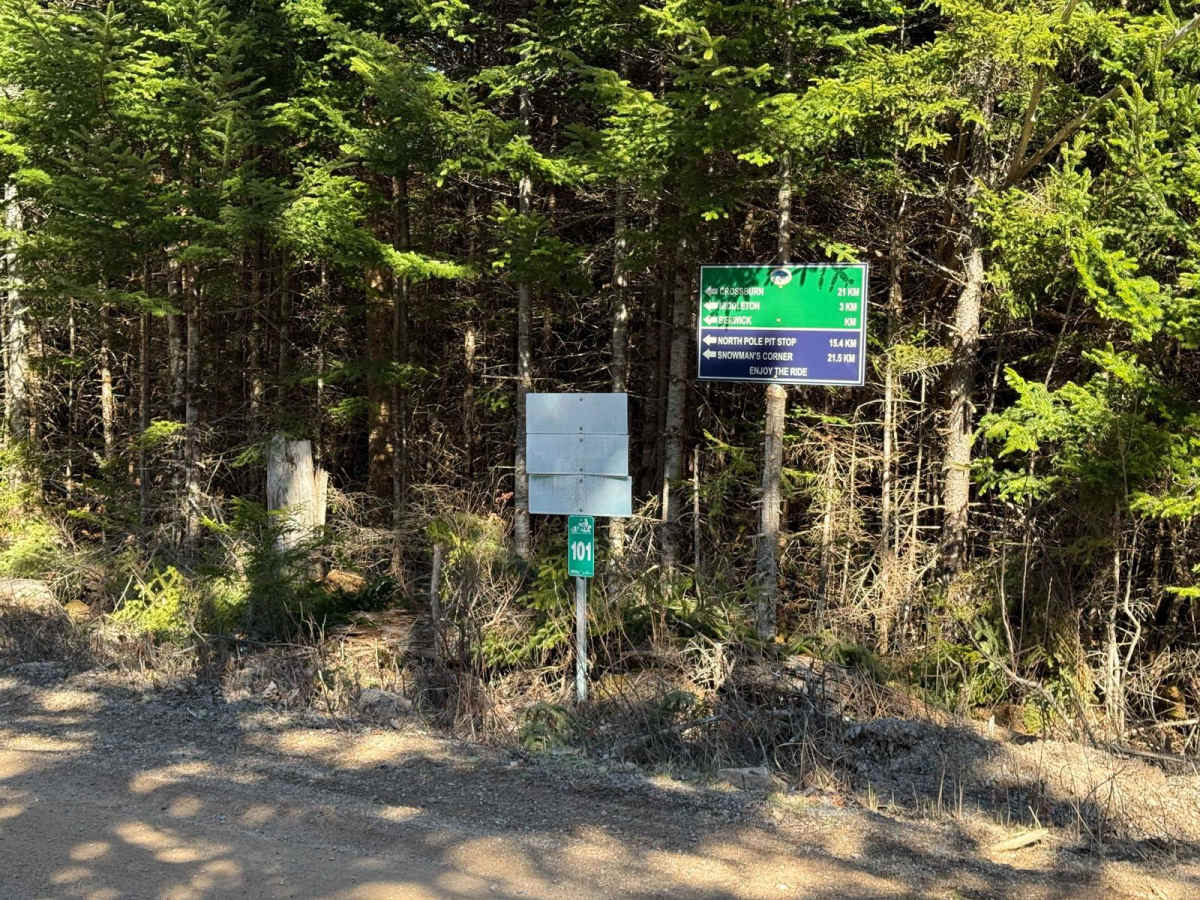 Fire Road photo 3