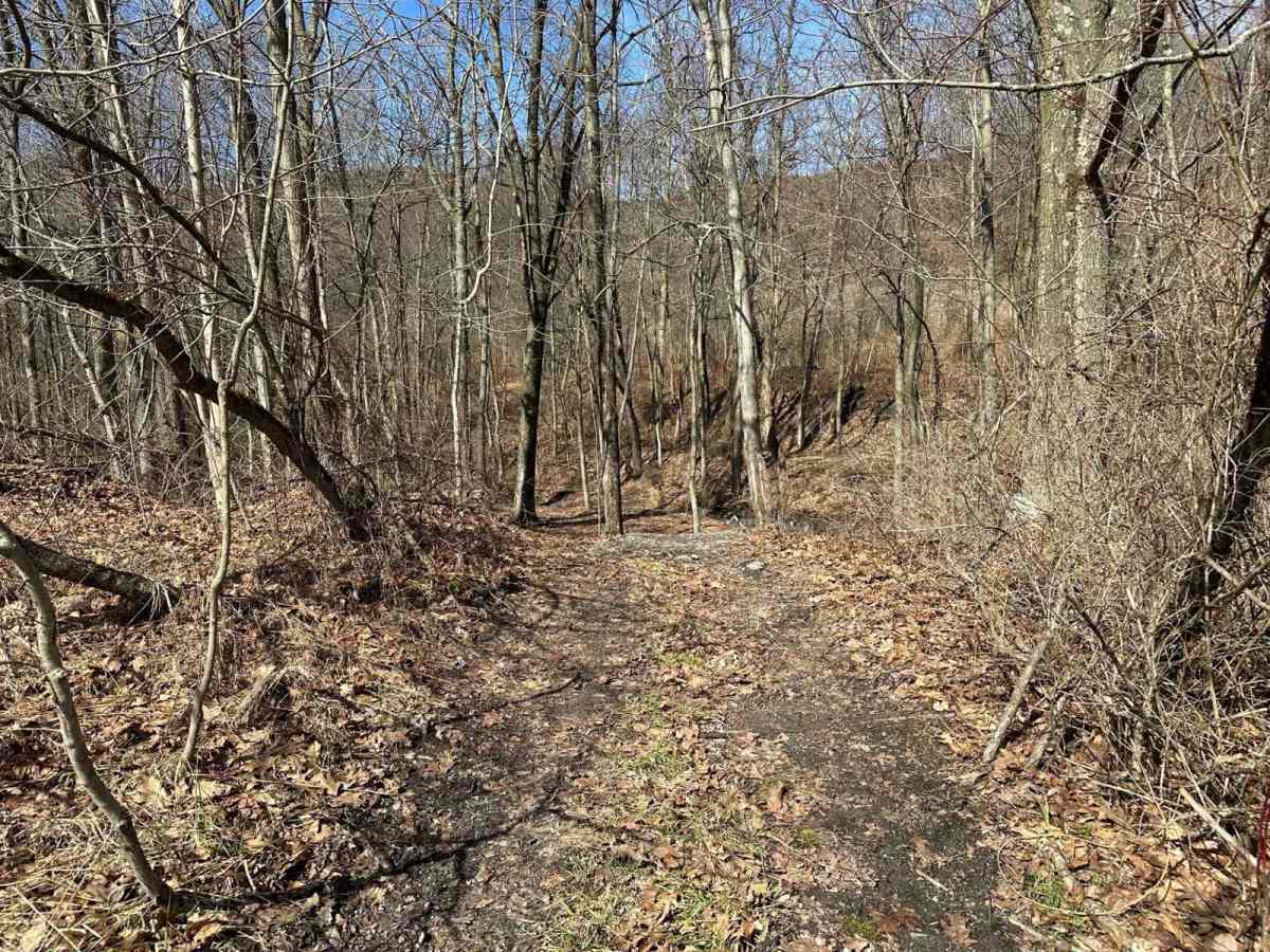 Ashland 38 photo 2