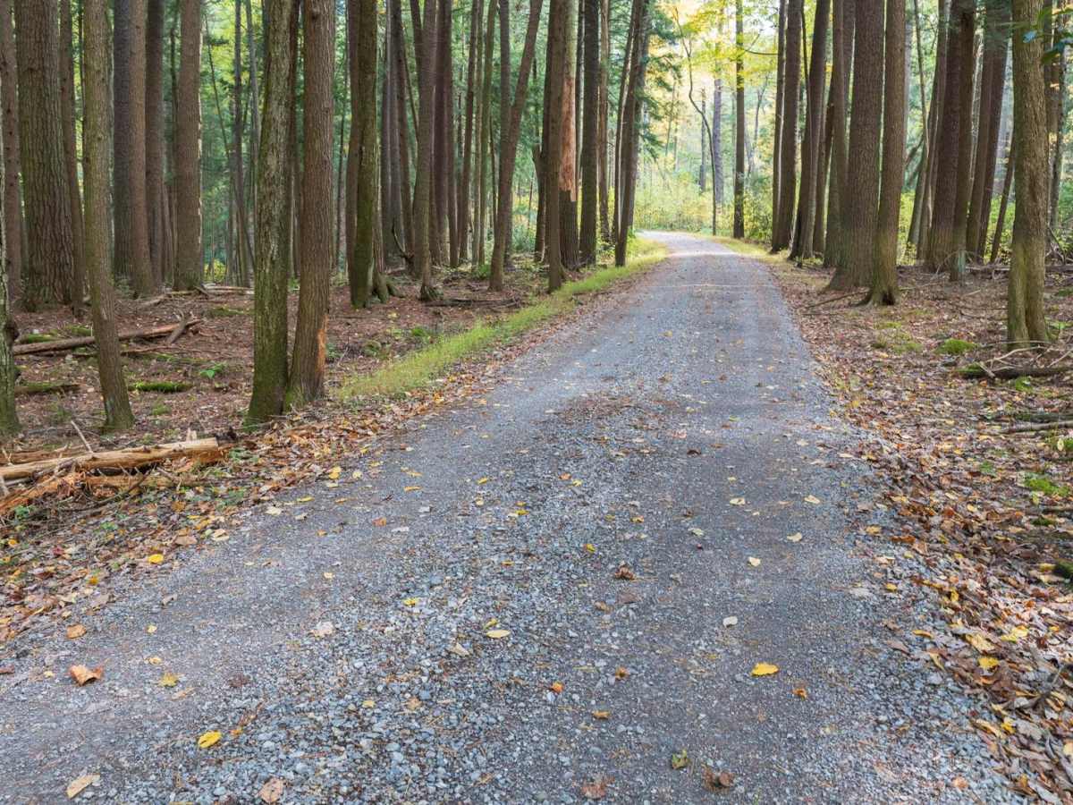 Alan Seeger Road photo 4