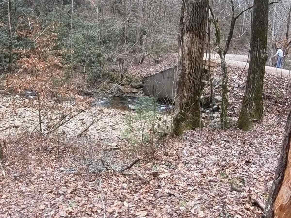 Indian Creek - FSR 302 photo 6