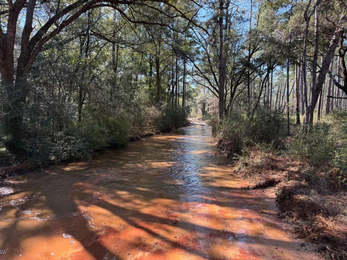 Florida State R78 photo 5