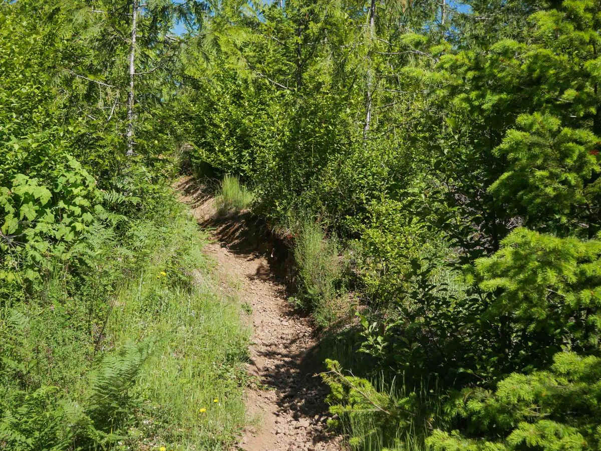 #75 (Part 1) photo 4