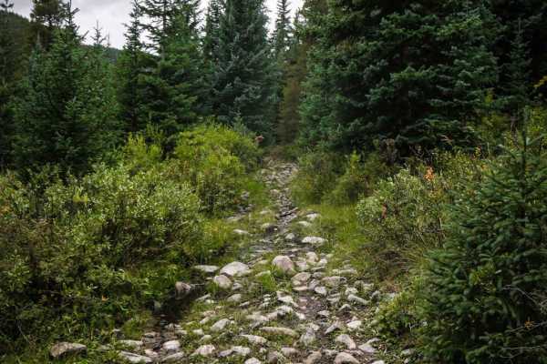 Gold Creek (North)