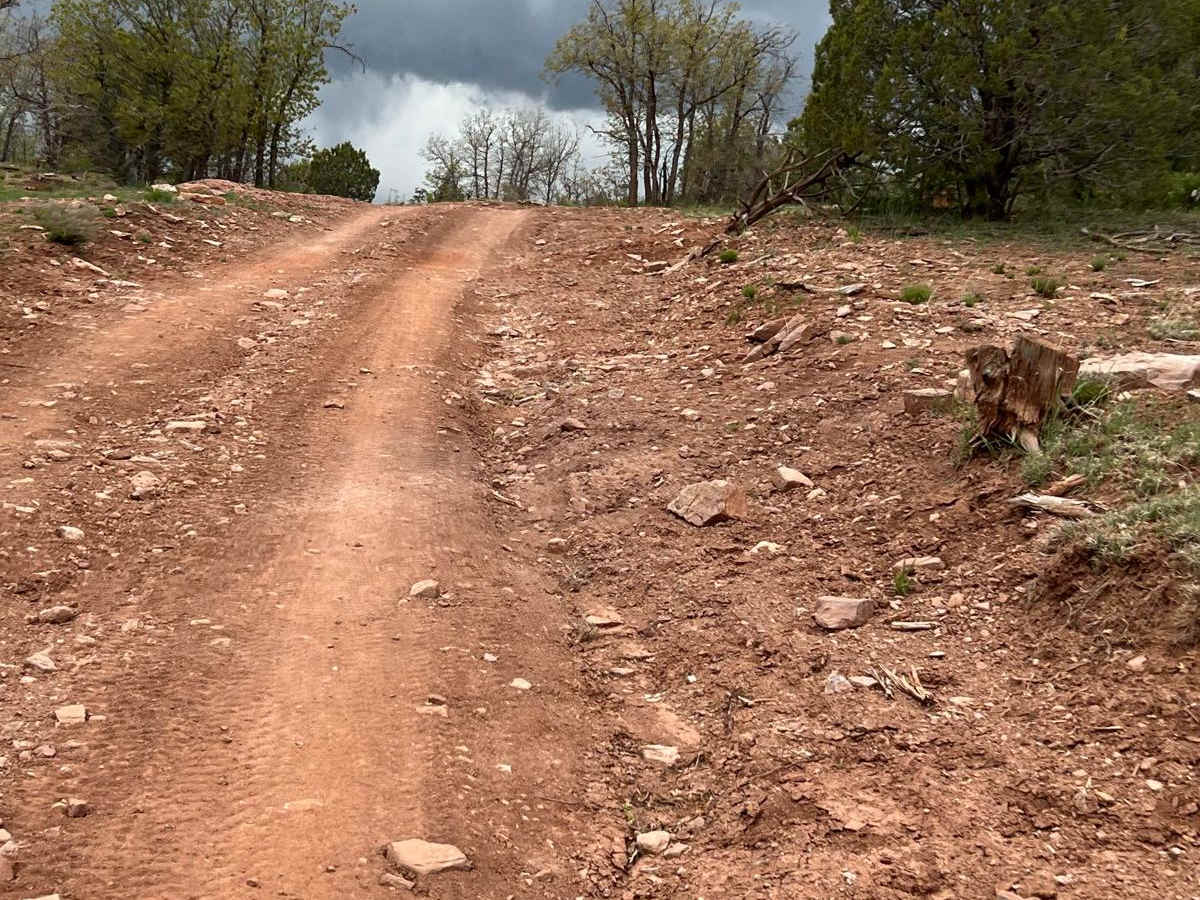 FS 46 Clay Chaos photo 5