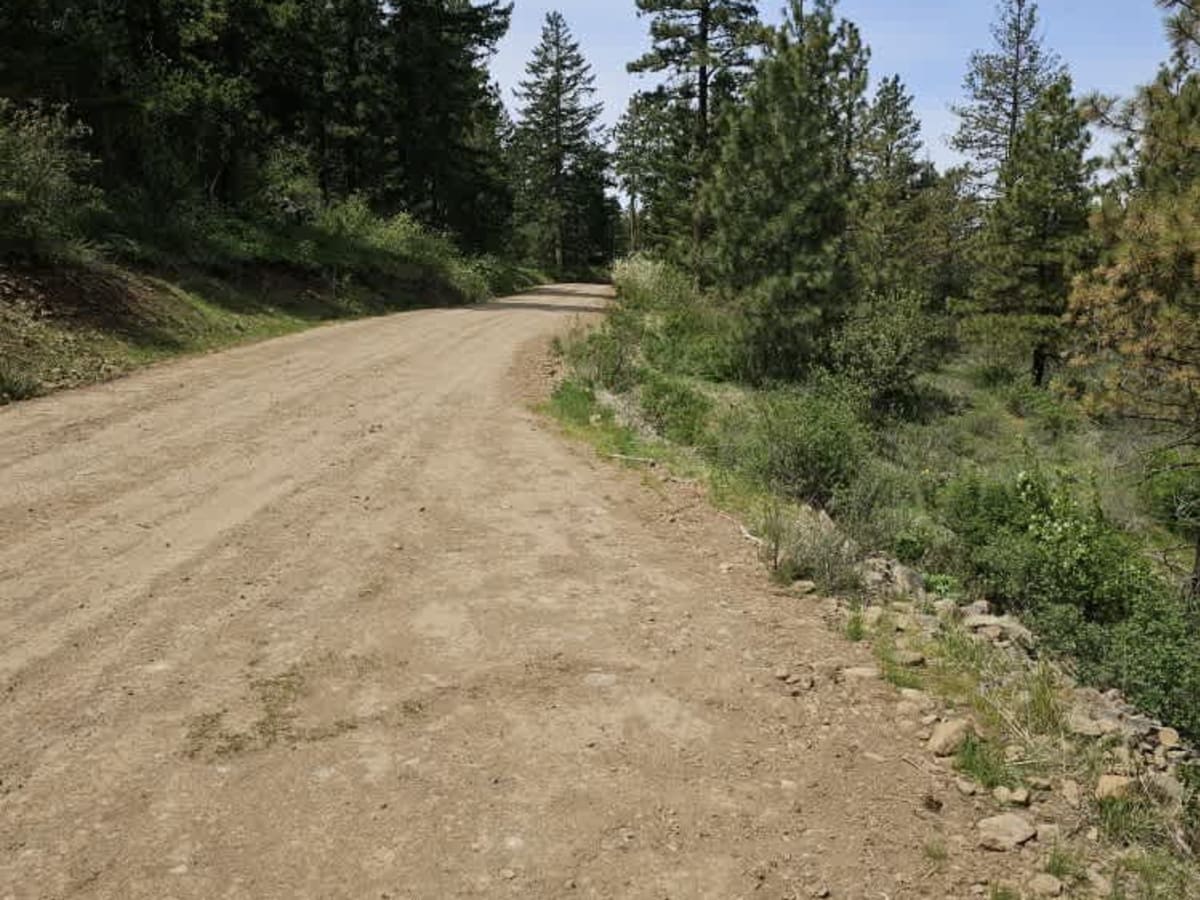 Morris Canyon - NF 629 photo 5
