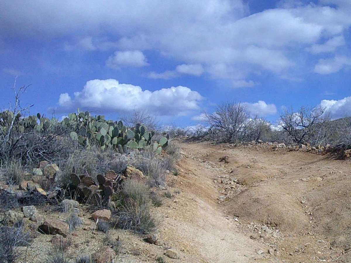 Camp Creek photo 6