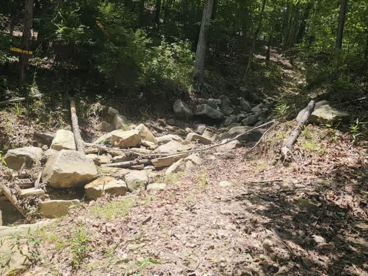 East Creek trail photo