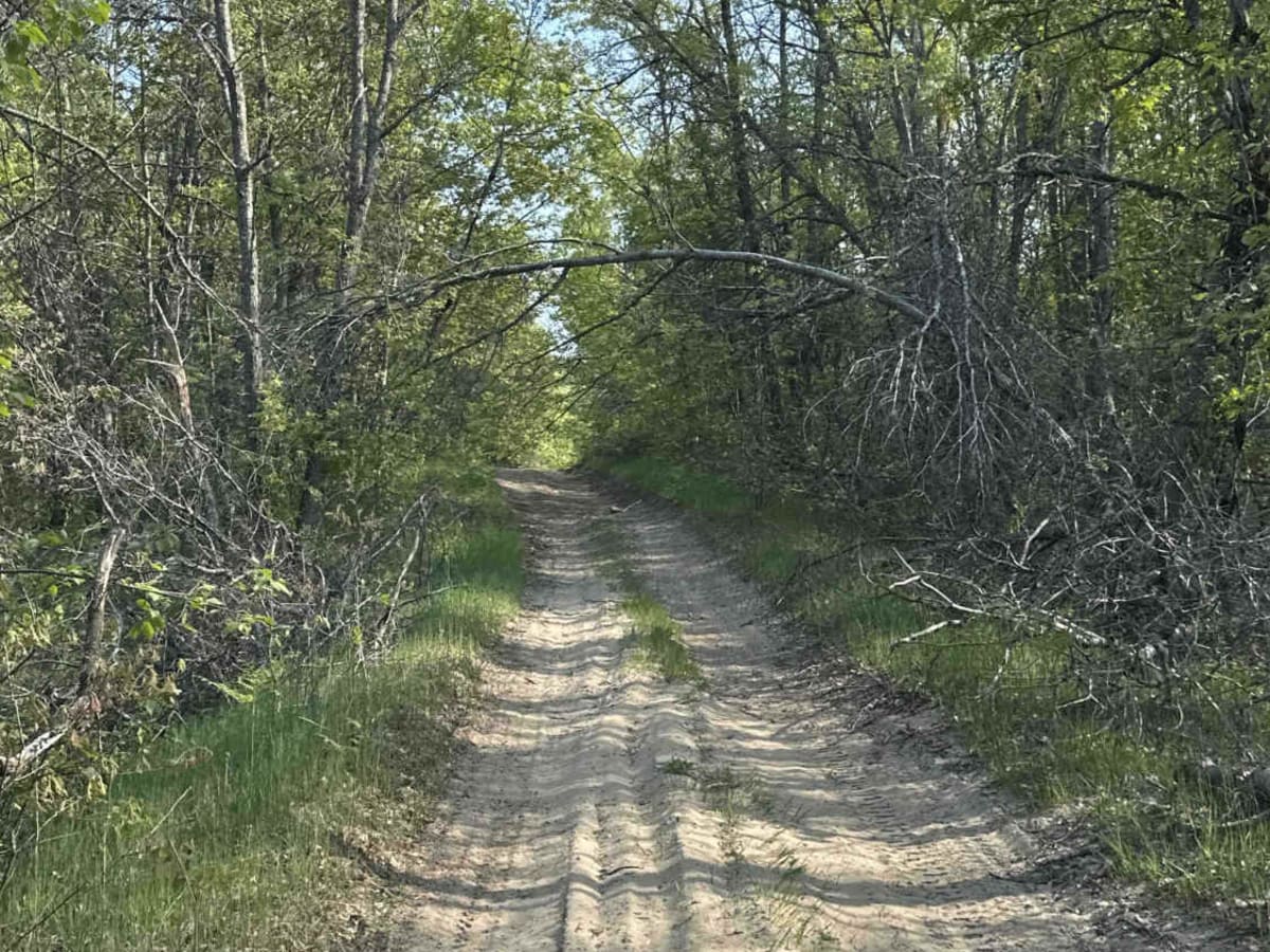 FS 4319 photo 3