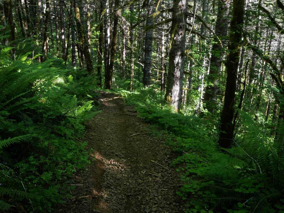 #72 trail photo