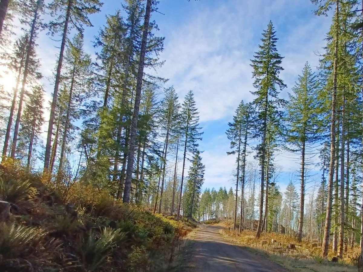 Grindstone View trail photo