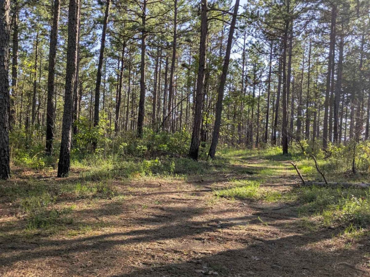 Henry Mountain Road photo 6
