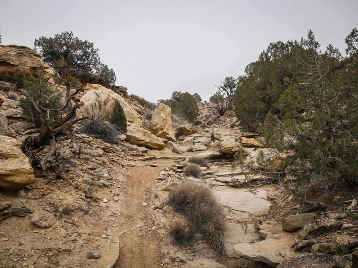 Arch Loop Trail photo 6