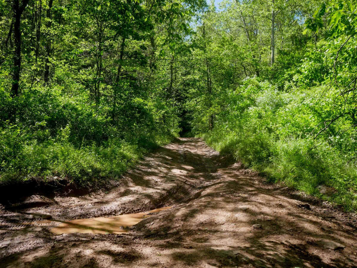 Trail 21 photo 3