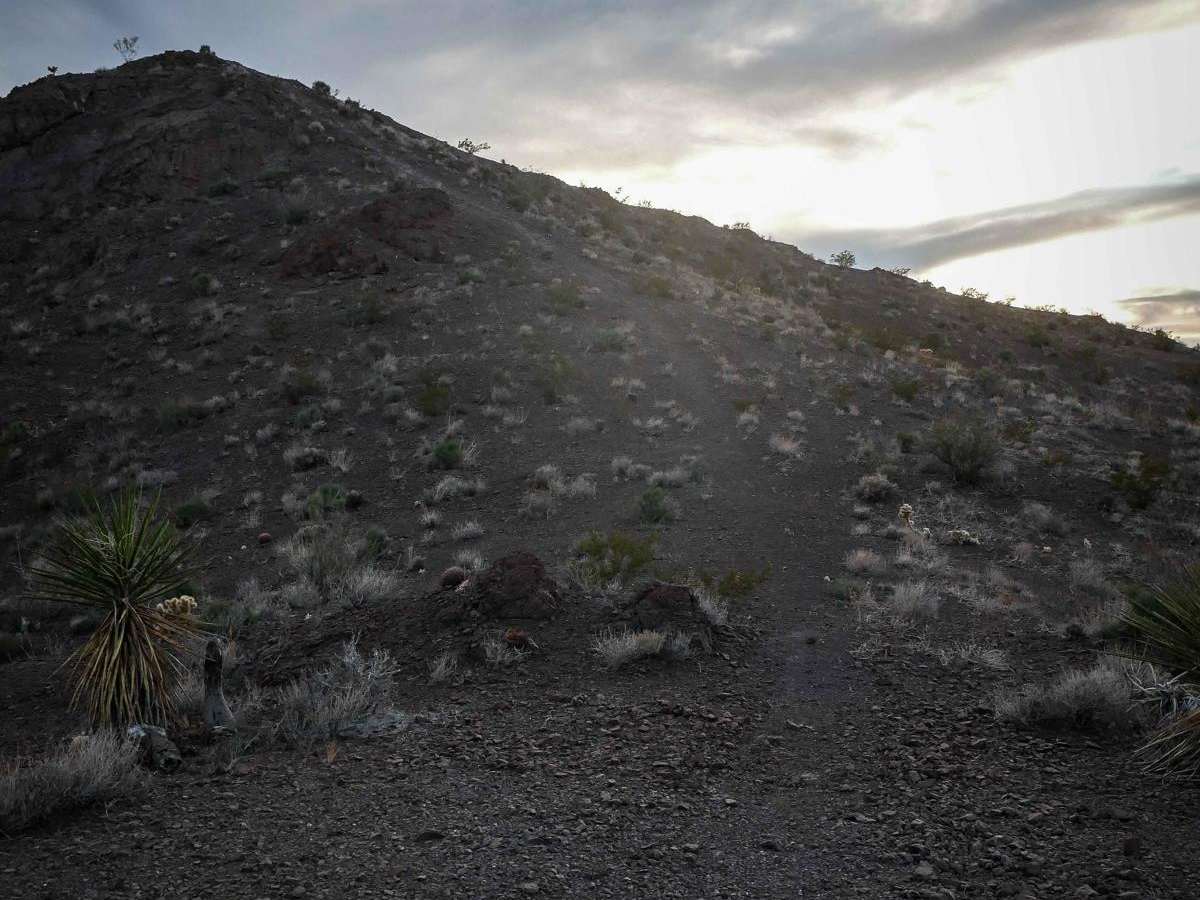 Ridgeline Single Track photo 3