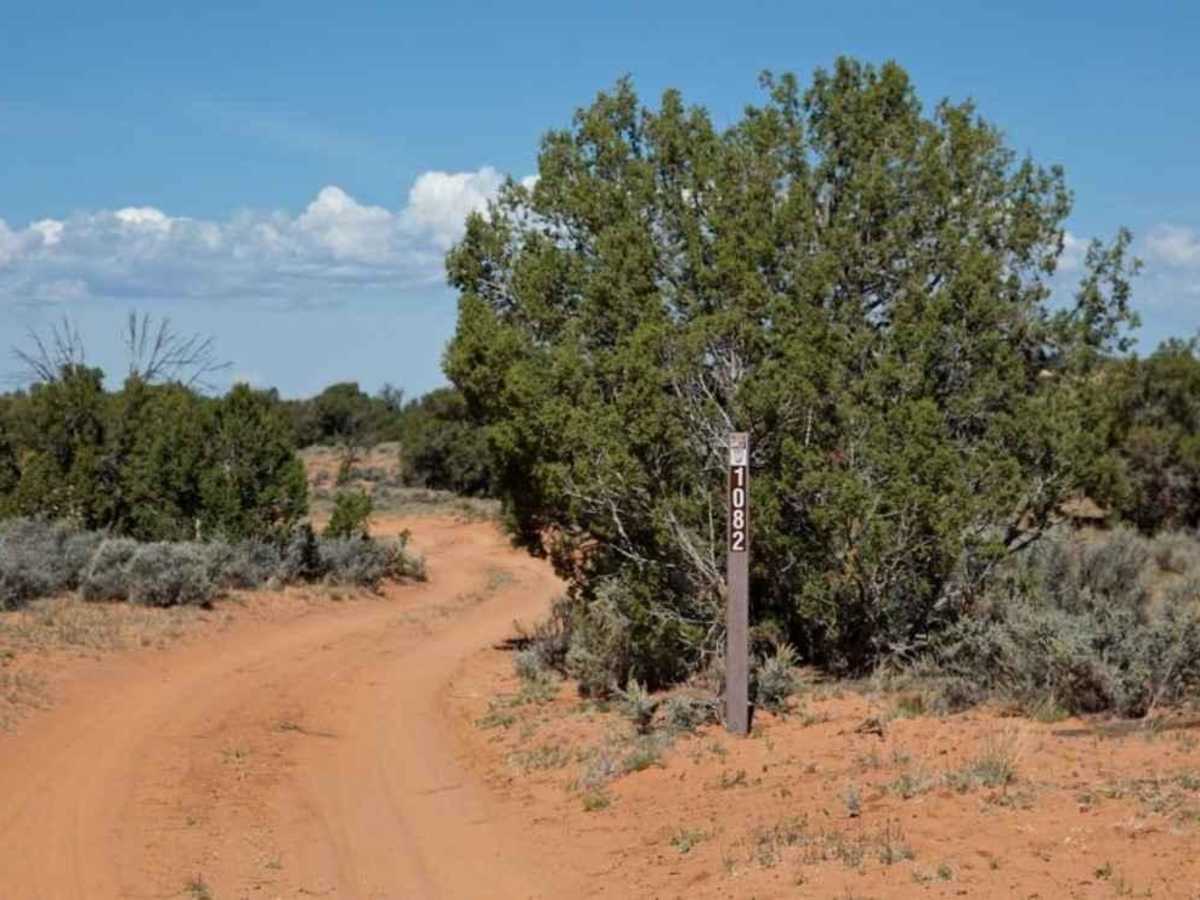 Cottonwood Cove-BLM1082 photo 2