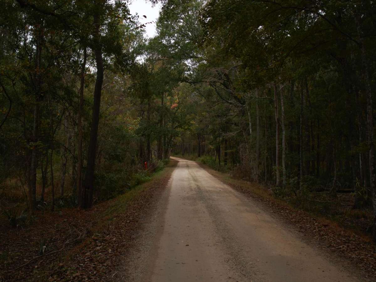 Donnelly WMA PT.2 photo 5