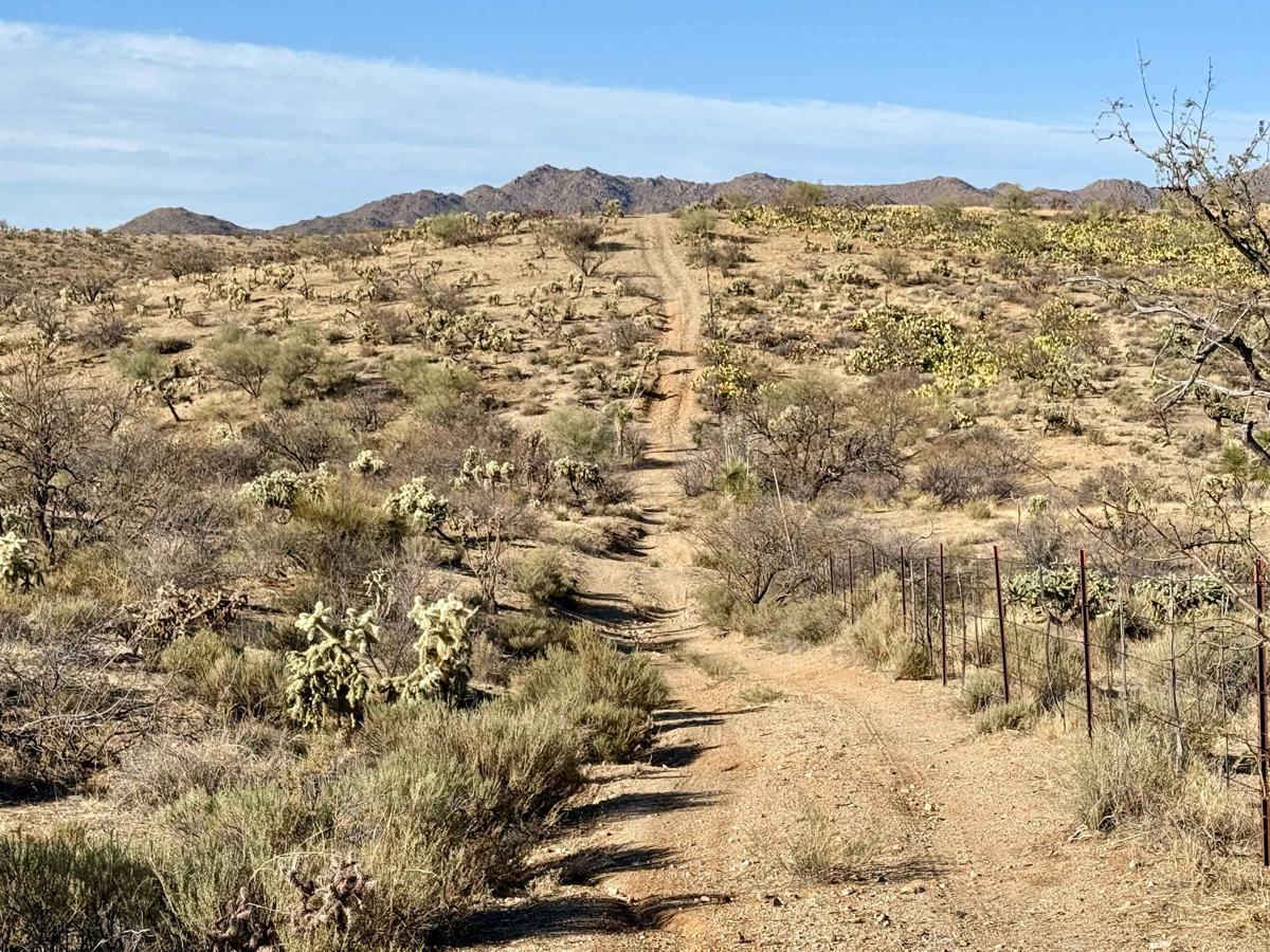 Western, East Willow Springs Road photo 2