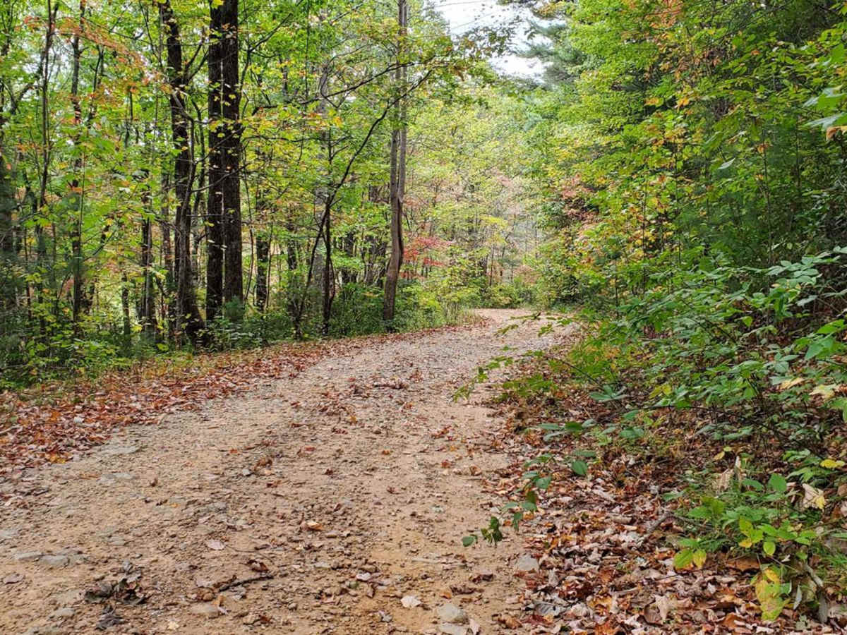 Williams Gap - FSR 346 photo 3