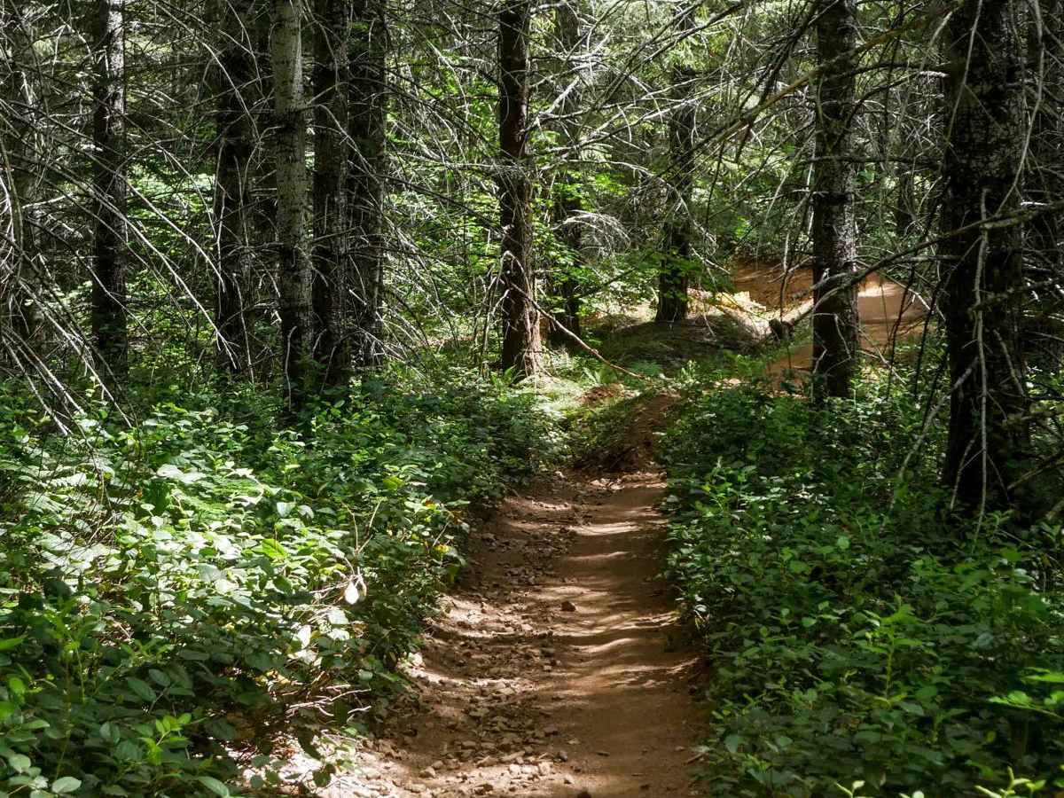 One-Way #98 trail photo