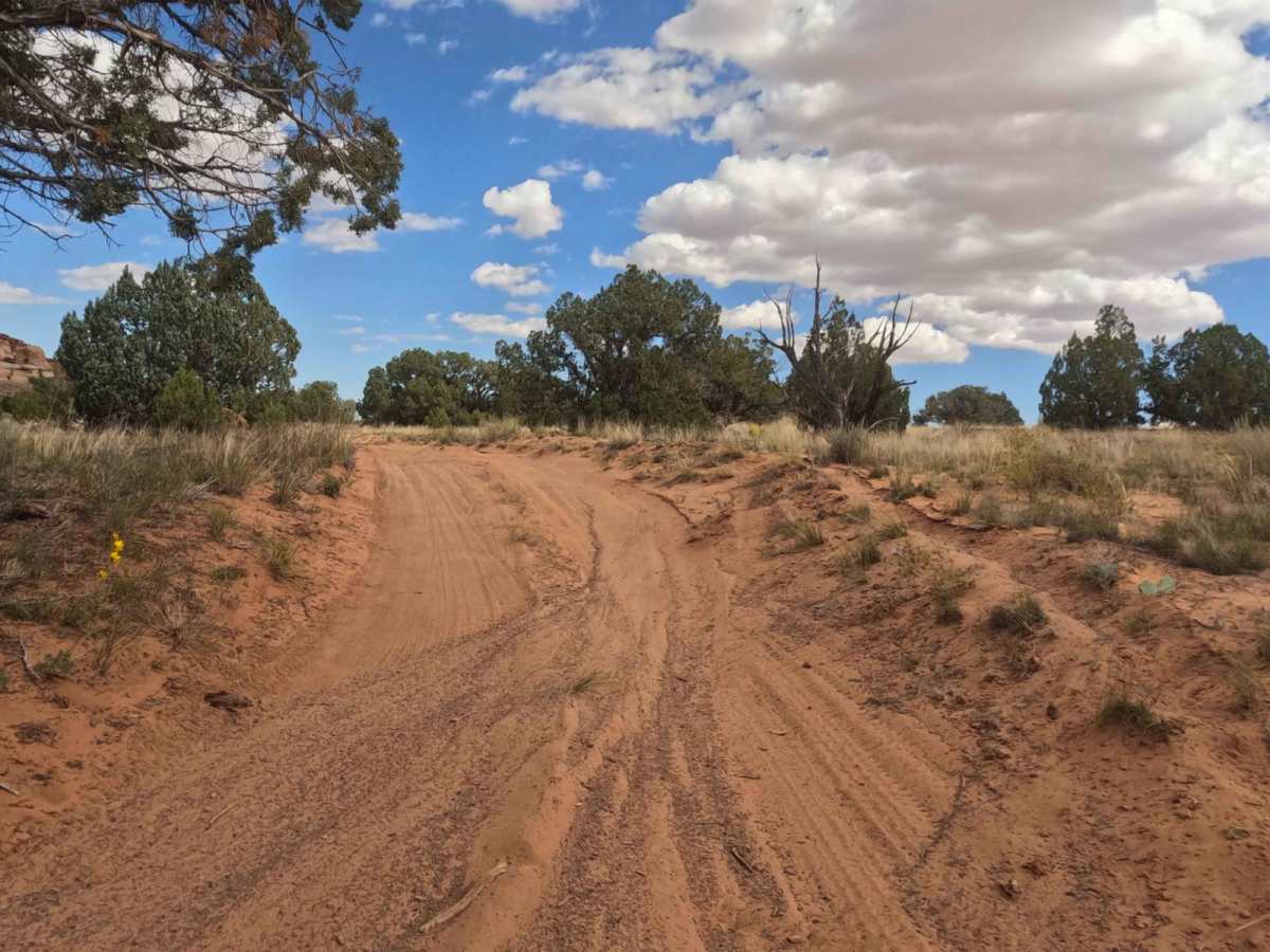 Red Pockets Road & Poverty Cabin (1081) photo 4