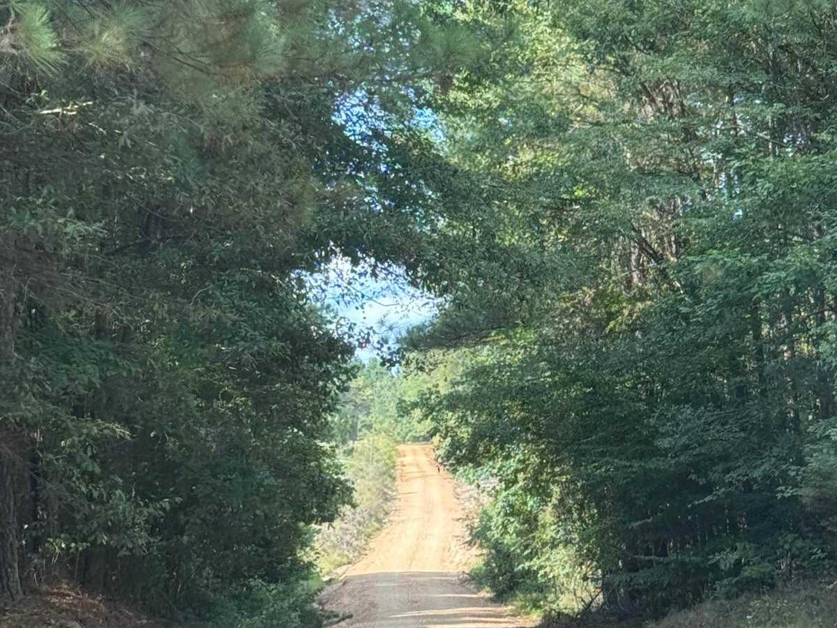 Ricker Road trail photo
