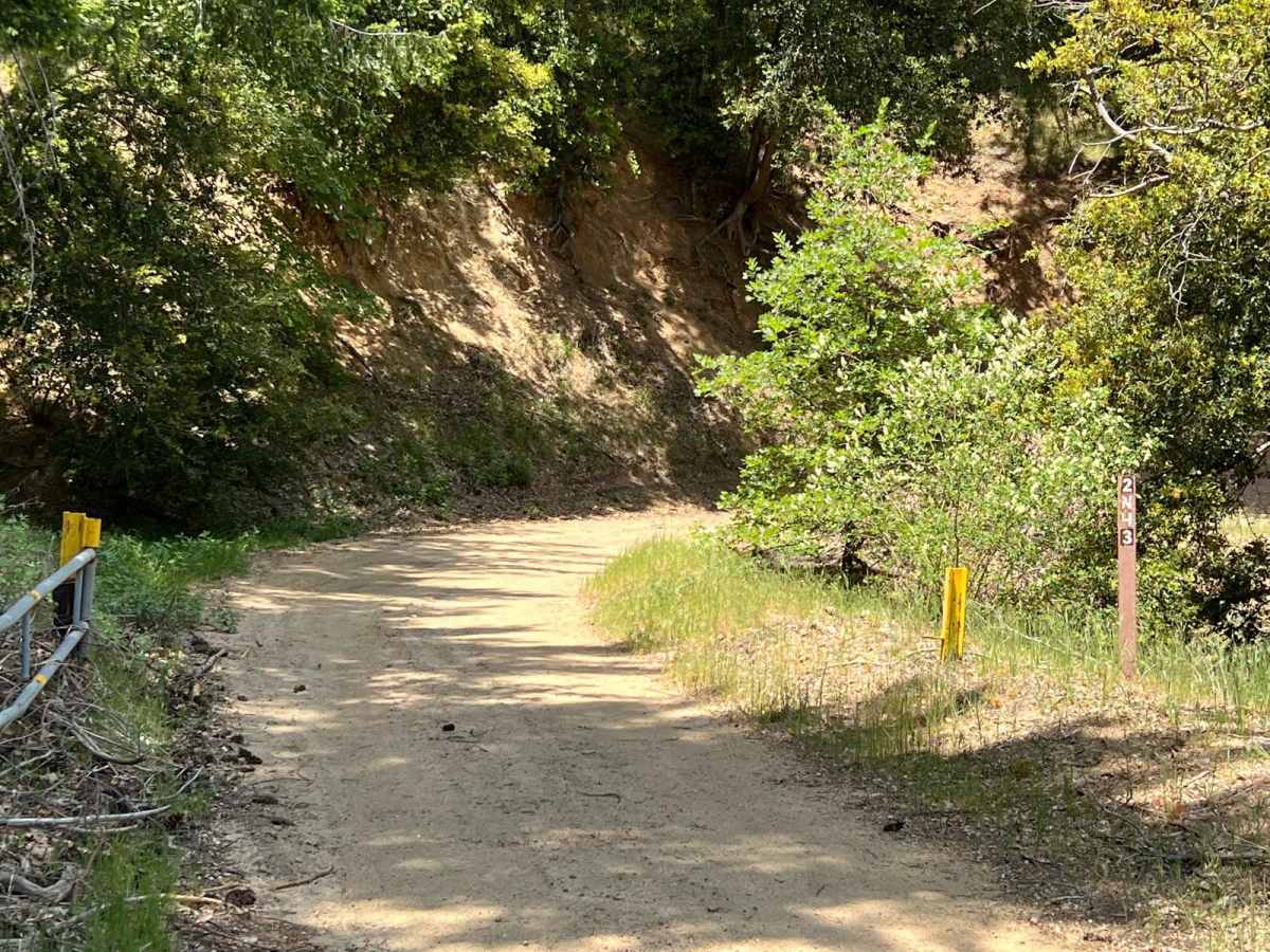 Sawpit Connector trail photo