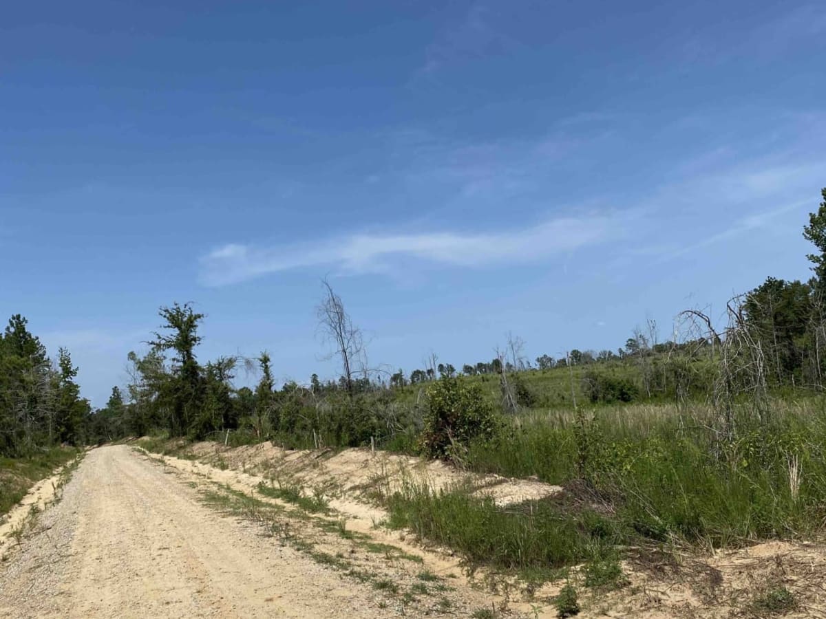 Clayton Holmes Rd photo 5