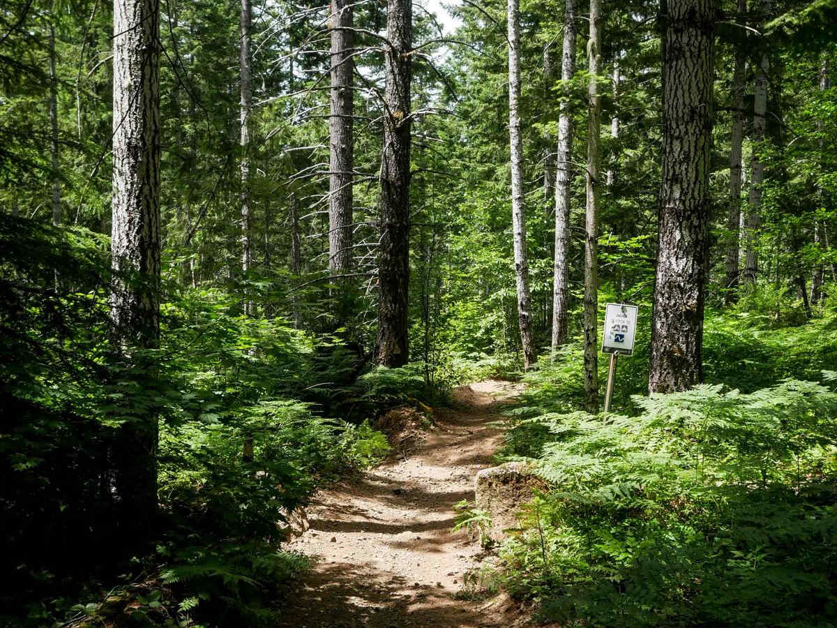 Julies #8 trail photo