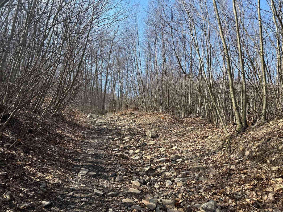 Ashland 112 photo 3