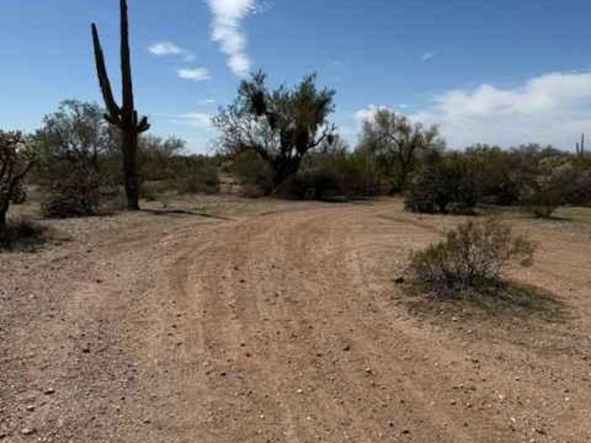 Nw2233 photo 2