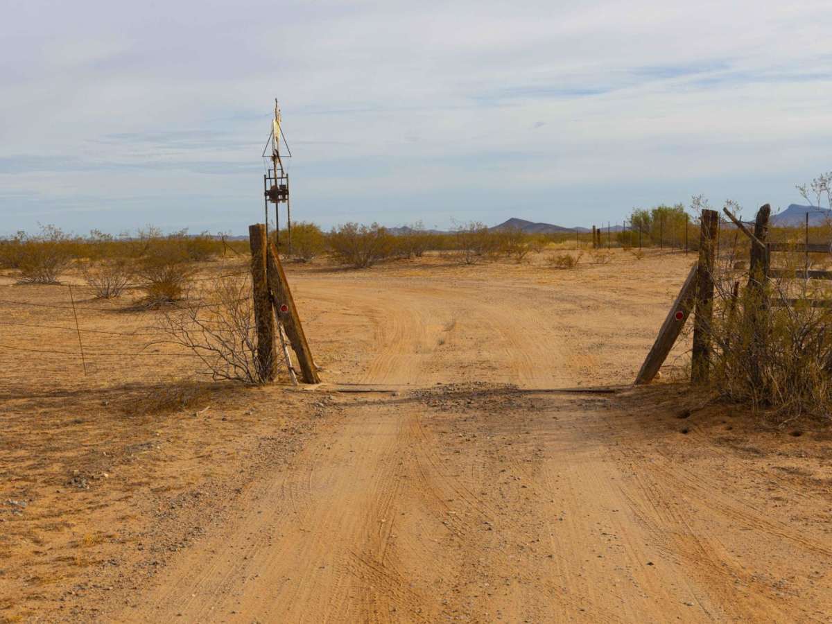 Robsons Mining World photo 3