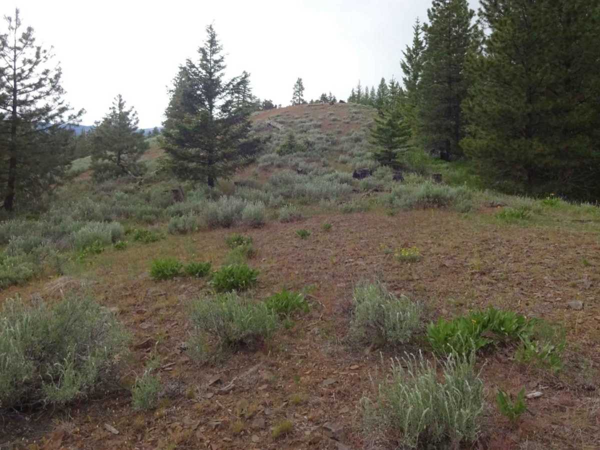 Manastash Ridge photo 4