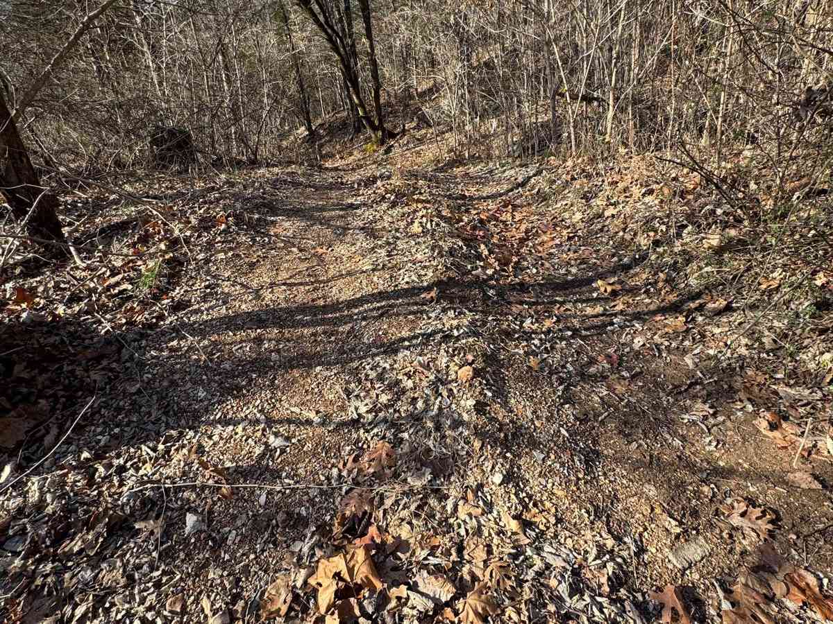 Green 311 trail photo