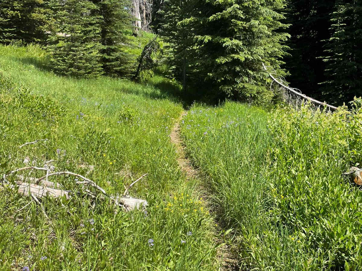 Vance Creek photo 3