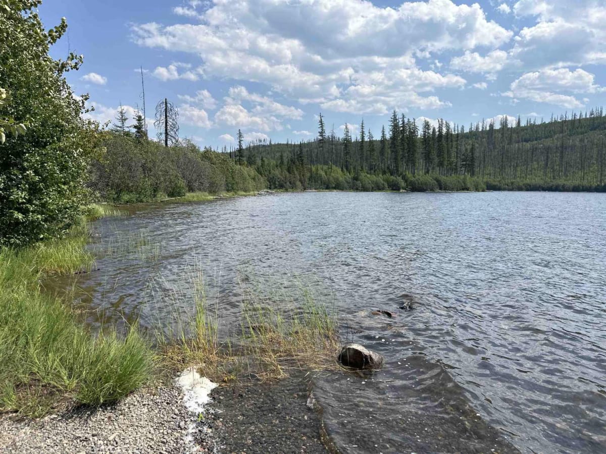 Stove Creek Road photo 3