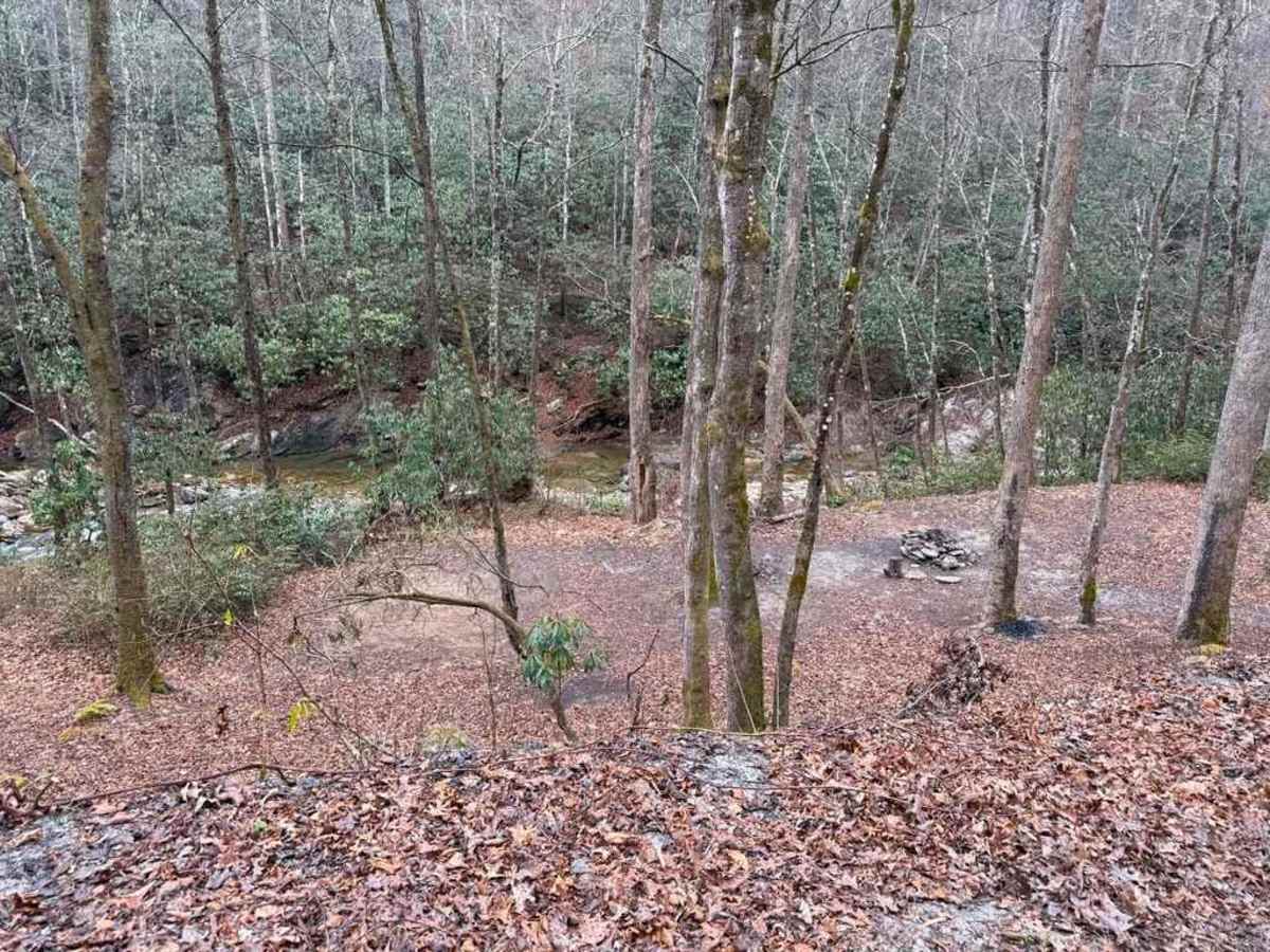 Roseboro Road - FS 981 trail photo