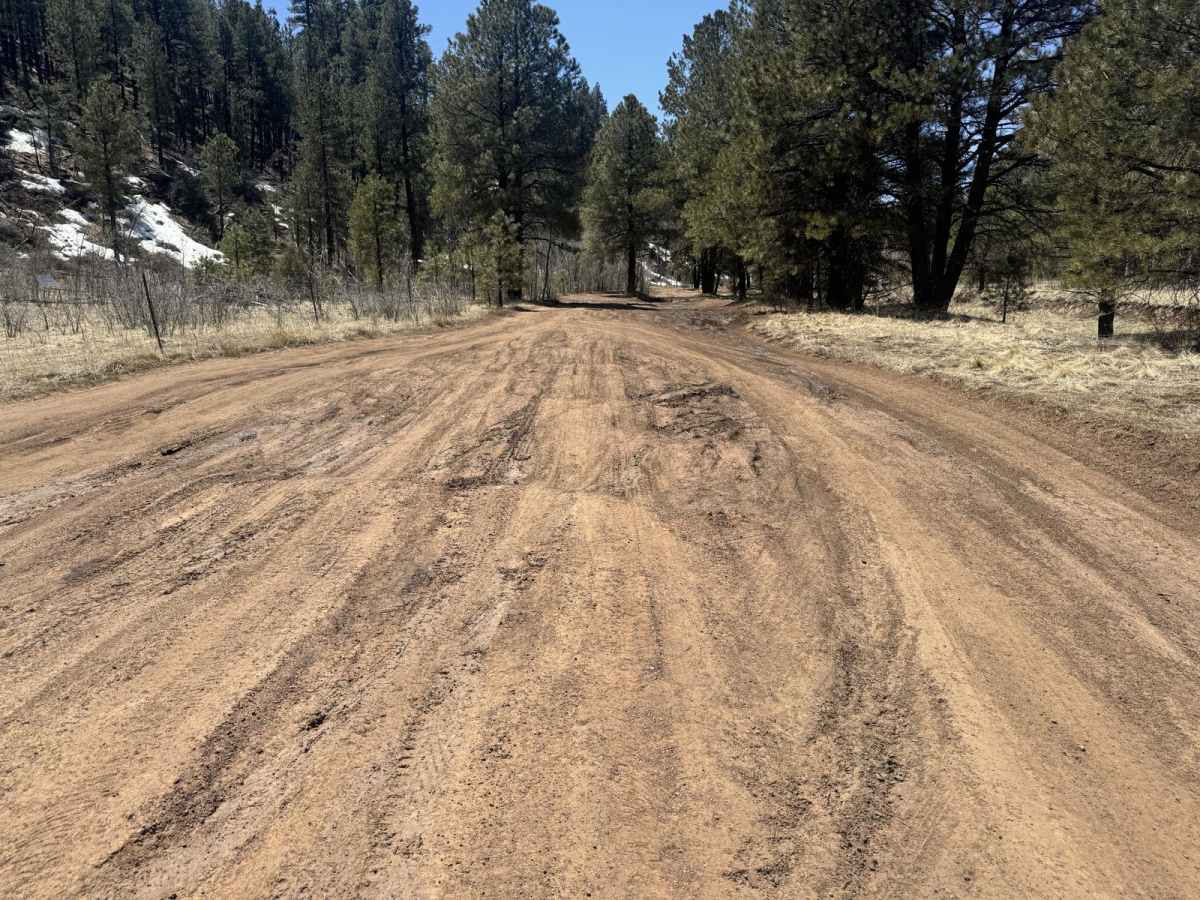 Crimson Road to FS 132 Junction photo 4